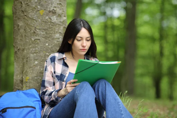 公園に座ってノートを読んで勉強する集中アジアの女性 — ストック写真