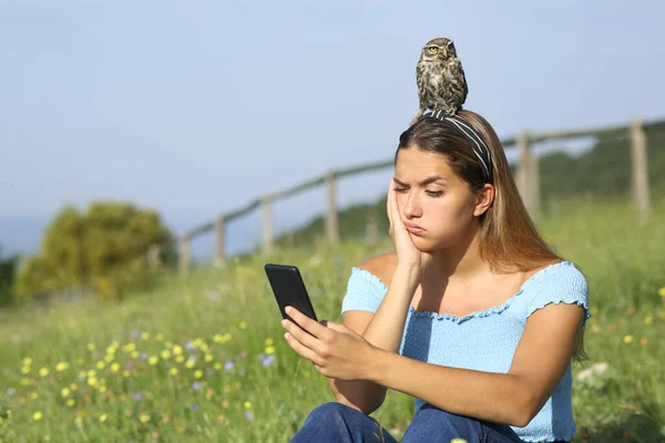 Överväldigad Kvinna Sitter Naturen Kontrollera Smart Telefon Med Fågel Huvudet — Stockfoto