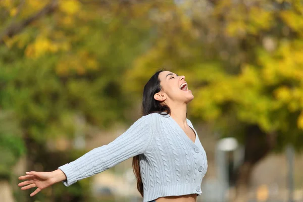 Femeia Entuziasmată Țipând Întinzându Brațele Sărbătorind Într Parc — Fotografie, imagine de stoc