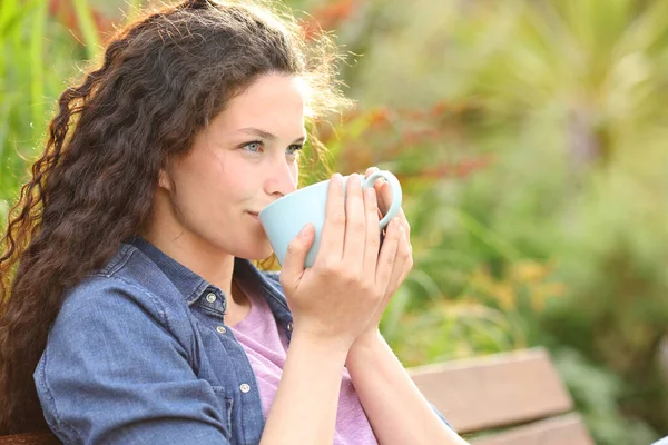 Mujer Segura Bebiendo Café Mirando Hacia Otro Lado Sentada Banco —  Fotos de Stock