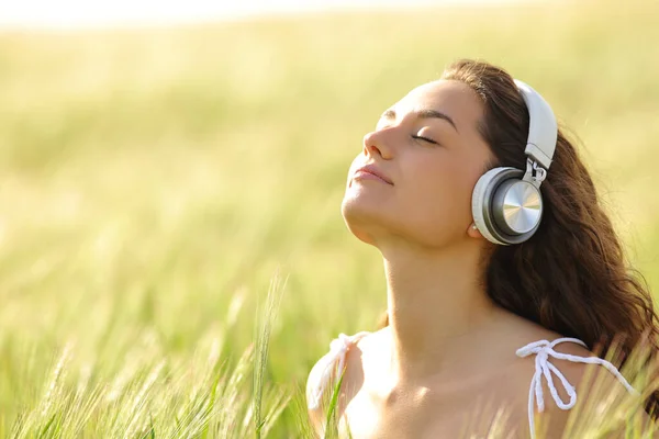 Relaxált Vezeték Nélküli Fejhallgatóval Meditál Búzamezőn — Stock Fotó