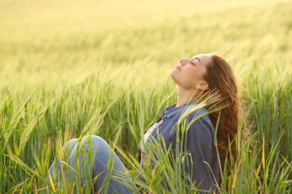 Retrato Una Mujer Sentada Campo Trigo Respirando Aire Fresco —  Fotos de Stock