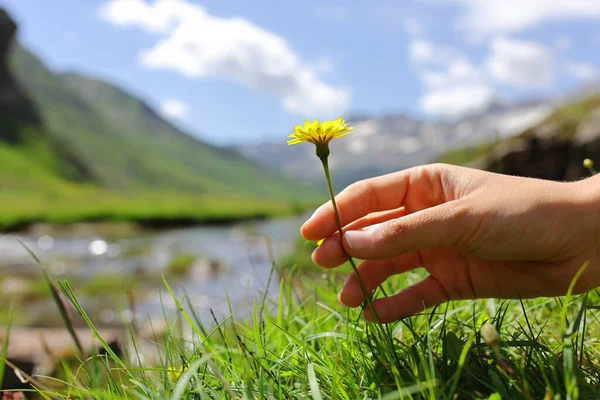 Close Portrait Woman Hand Touching Flower Mountain Riverside — ストック写真