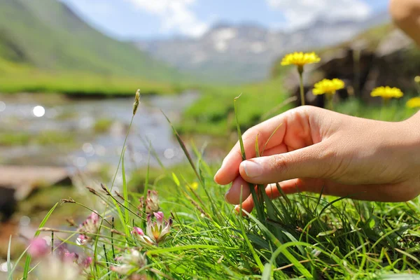 Close Woman Hand Grounding Touching Grass Mountain — ストック写真
