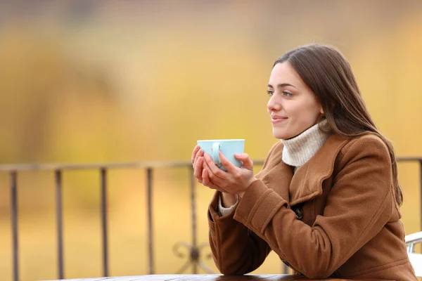 Женщина Отдыхающая Зимой Пьет Кофе Глядя Террасу — стоковое фото