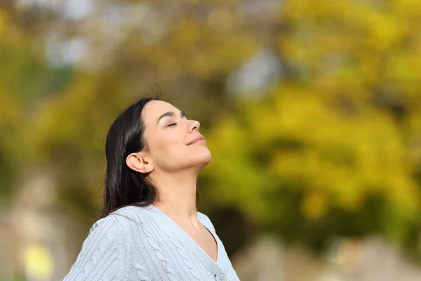 Happy Woman Relaxing Breathing Park Fresh Air Imagen de archivo