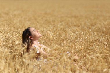 Relaxed woman breathing fresh air in the middle of a golden wheat field