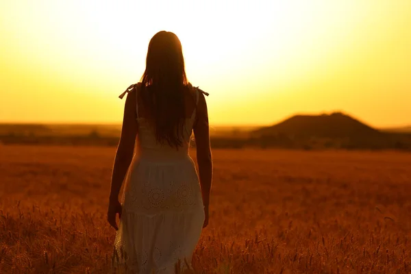 日落时分在麦田里散步的一个女人的倒影 — 图库照片