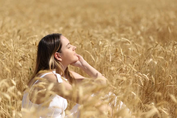 Perfil Uma Mulher Relaxada Descansando Campo Trigo Dourado — Fotografia de Stock