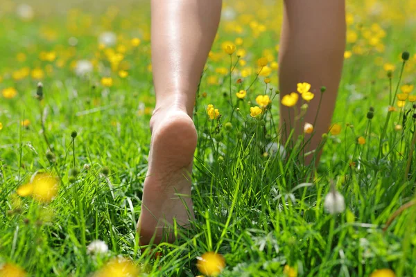 Close Back View Woman Bare Feet Walking Grass — Stock Photo, Image