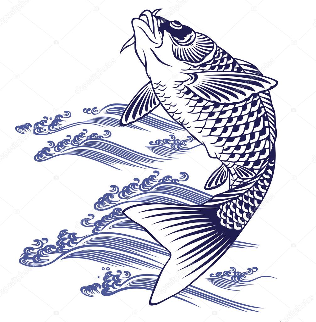 Japanese carp
