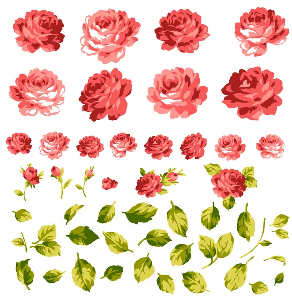 La Rosa — Archivo Imágenes Vectoriales