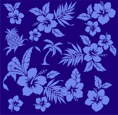 ebegümeci ve ananas