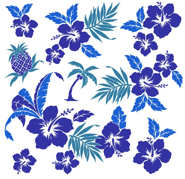 Hibiscus en een ananas — Stockvector