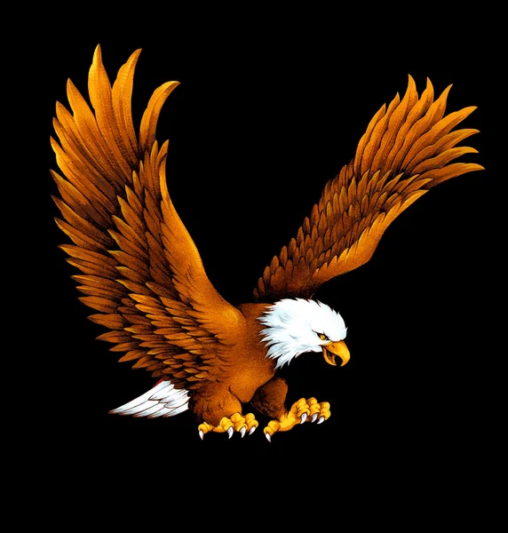 Águila, —  Fotos de Stock