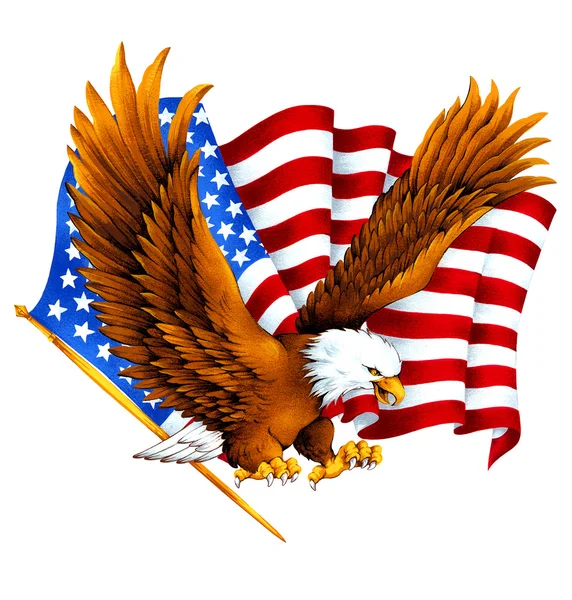 USA Eagle, — Stockfoto