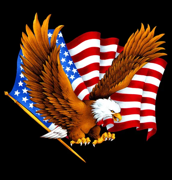 USA Eagle, — Stockfoto