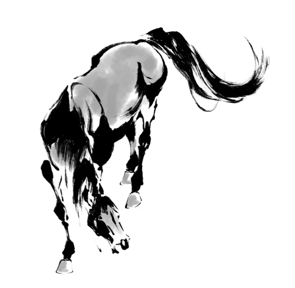 Koń orientalny — Zdjęcie stockowe