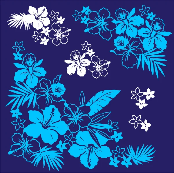 Hibiszkusz — Stock Vector