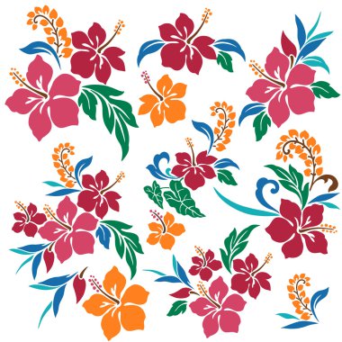 hibiscus resmi
