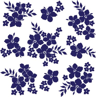 hibiscus tekrarı