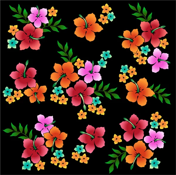 Picture of Hibiscus — Stock Vector