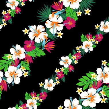 hibiscus tekrarı