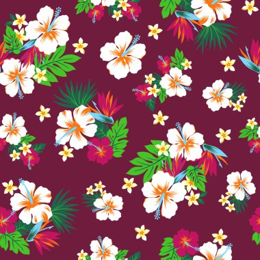 hibiscus tekrarı
