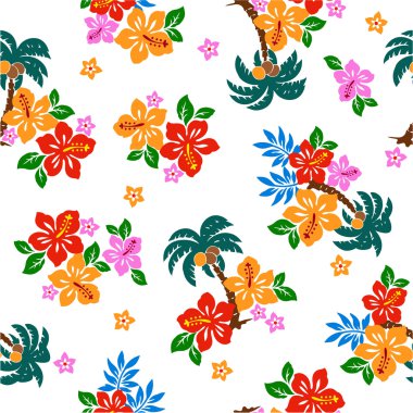 hibiscus tekrarı