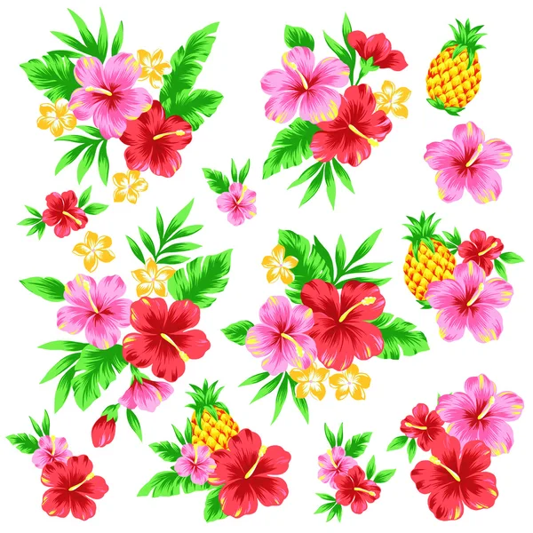 Hibiscus — Stock Photo, Image