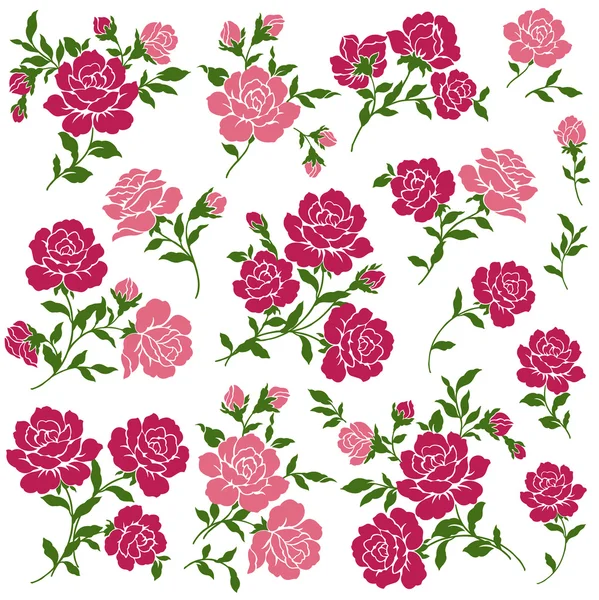 Rose illusztrációja — Stock Vector