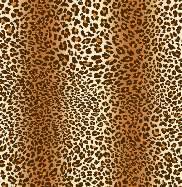 Panther pattern — Stock Photo, Image