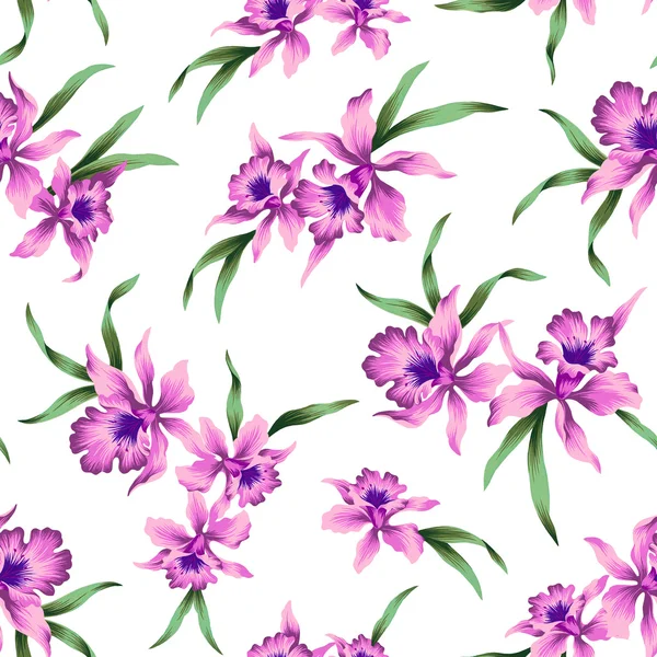 Pattern of Cattleya — Stock Photo, Image