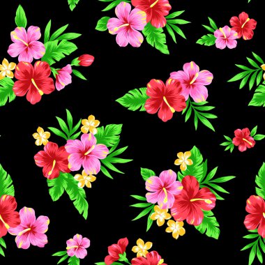 hibiscus tekrarı