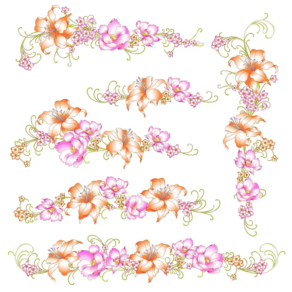 Prachtige lelie — Stockvector