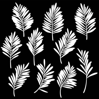 Tropikal bitkilerin resimli materyal koleksiyonu,