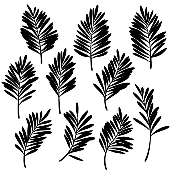Illustration Material Samling Tropiska Växter — Stock vektor