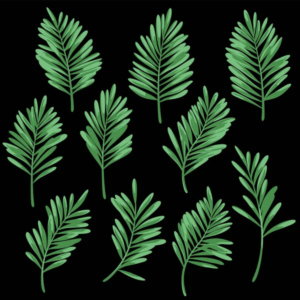 Verzameling Illustratiemateriaal Van Tropische Planten — Stockvector