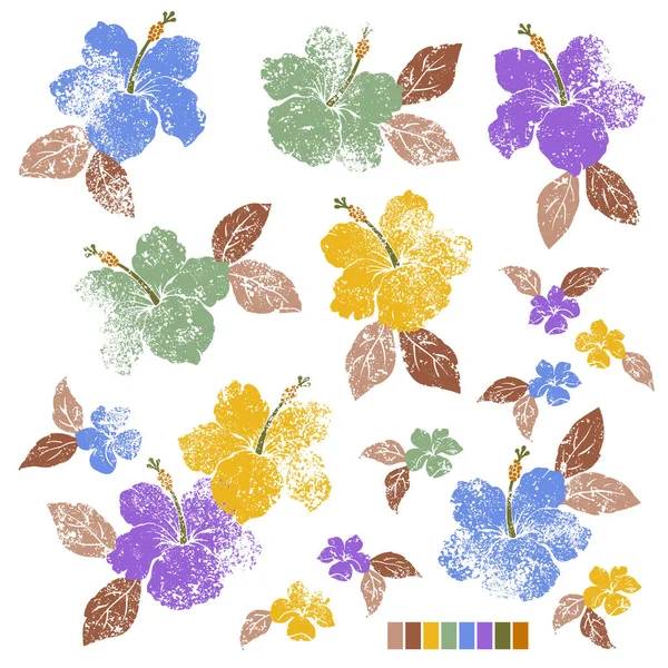 Illustratiemateriaal Verzameling Troebele Tropische Bloemen — Stockvector