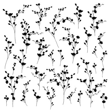 Soyut ve etkileyici bir çiçek malzemesi.,