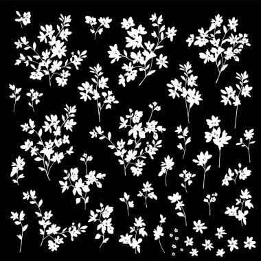 Güzel çiçek illüstrasyon materyali koleksiyonu,