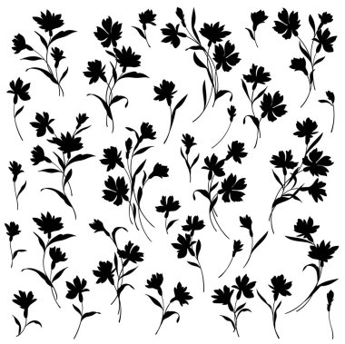 Güzel çiçek illüstrasyon materyali koleksiyonu,