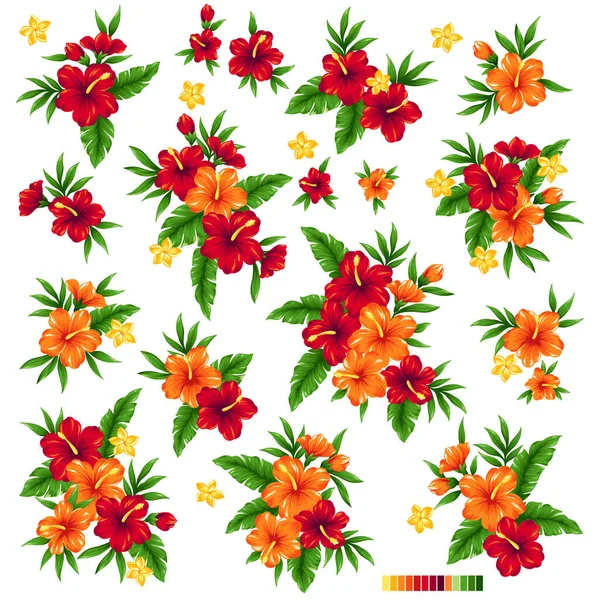 Collection Matériel Illustration Vectorielle Fleurs Tropicales — Image vectorielle