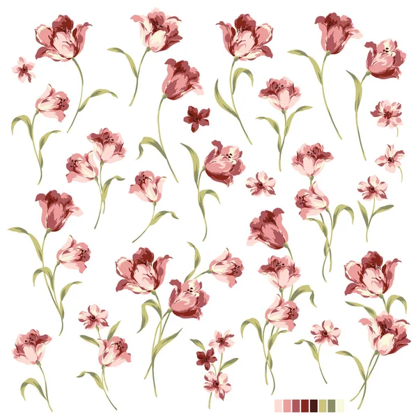 Beautiful Tulip Flower Material Collection — ストックベクタ