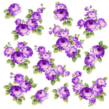 Güzel gül illüstrasyon materyali koleksiyonu,