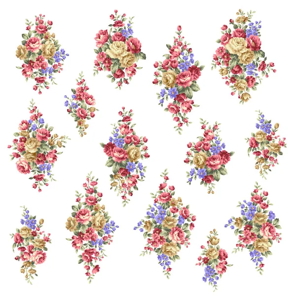 Красива Колекція Ілюстраційних Матеріалів Троянди — стоковий вектор