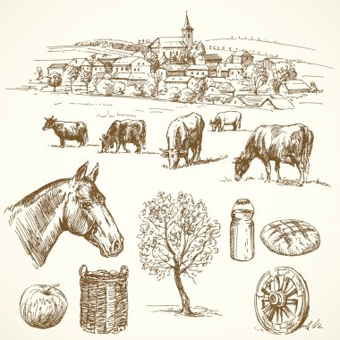 Farm animal, rural village - hand drawn collection