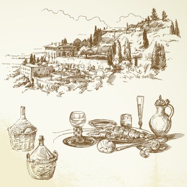 Wine, vineyard, Tuscany - hand drawn collection