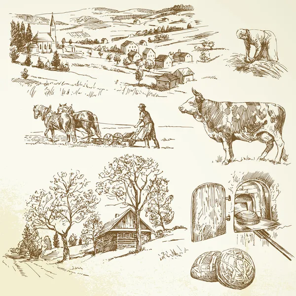 Сельский пейзаж, сельское хозяйство, сельское хозяйство — стоковый вектор