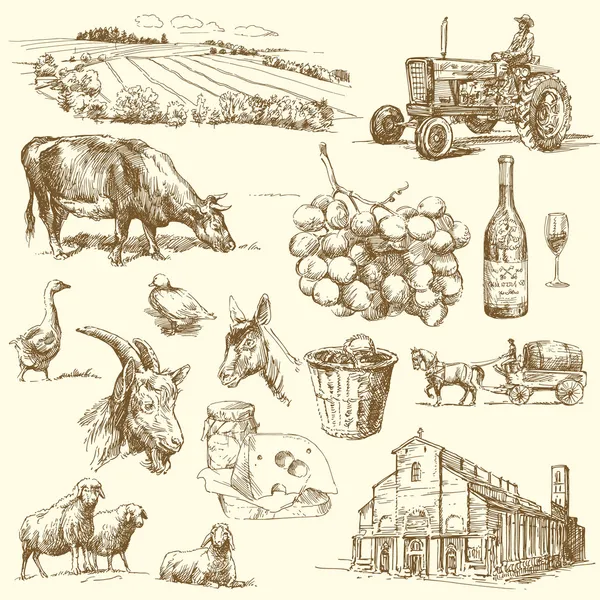 Farm collection — Stock Vector